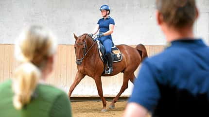 CAVALLO Online-Auktionen Online-Auktionen