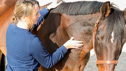 CAVALLO Emmett-Technique Emmett-Technique