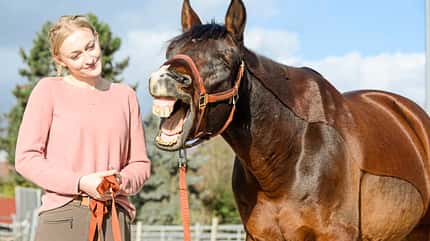 CAVALLO Emmett-Technique Emmett-Technique