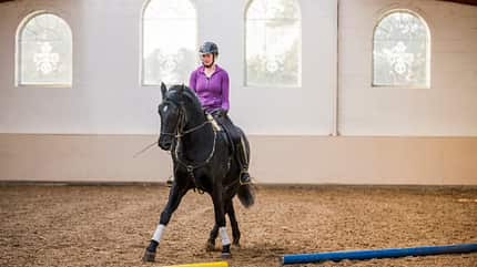 CAVALLO So geht das Pferd in die richtige Richtung So geht das Pferd in die richtige Richtung