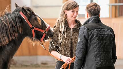 CAVALLO Coaching-Pferde Coaching-Pferde