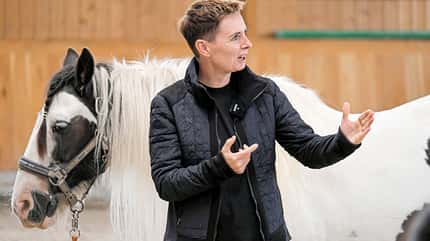 CAVALLO Coaching-Pferde Coaching-Pferde