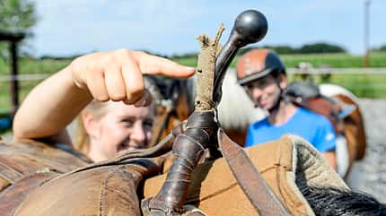 CAVALLO Redaktion in Aktion - Stuntreiten Redaktion in Aktion - Stuntreiten