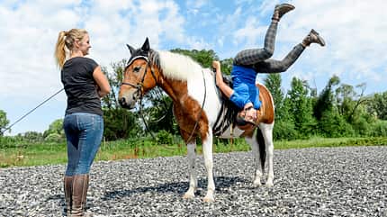 CAVALLO Redaktion in Aktion - Stuntreiten Redaktion in Aktion - Stuntreiten