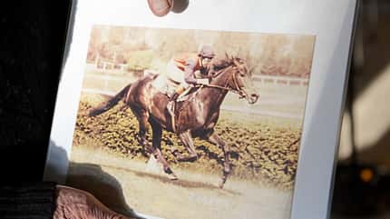 CAVALLO hautnah Dr. Maximilian Pick CAVALLO hautnah Dr. Maximilian Pick