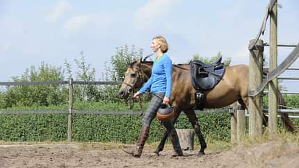 ein schöner Schluss, Reitplatz, Ende, Anfang, gehen, Reitstunde, Unterricht Reitstunde