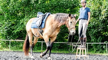 CAVALLO Aufstieghilfe