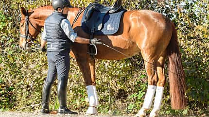 CAVALLO Dressur mit Osteo-Effekt Dressur mit Osteo-Effekt