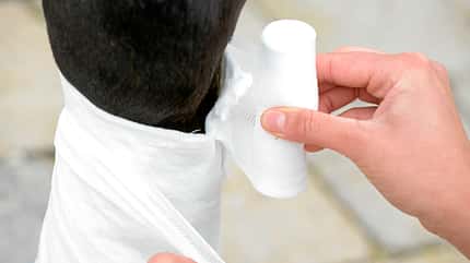 CAVALLO Angussverband anlegen Angussverband anlegen