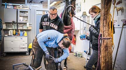 CAVALLO hautnah Markus Raabe CAVALLO hautnah Markus Raabe