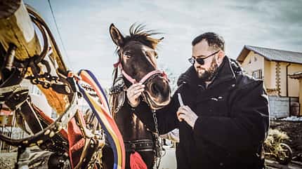 CAVALLO hautnah Markus Raabe CAVALLO hautnah Markus Raabe