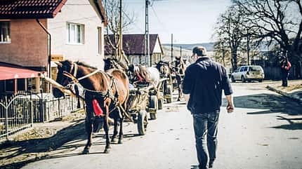 CAVALLO hautnah Markus Raabe CAVALLO hautnah Markus Raabe