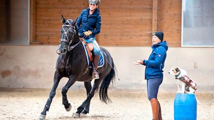 CAVALLO Lisa in fremden Sätteln - Working Equitation Lisa in fremden Sätteln - Working Equitation