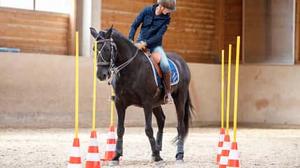 CAVALLO Lisa in fremden Sätteln - Working Equitation Lisa in fremden Sätteln - Working Equitation