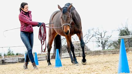 CAVALLO Bahnfiguren kreativ variieren Bahnfiguren kreativ variieren