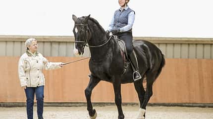 CAVALLO Standpunkt Baumann-Pellny Standpunkt Baumann-Pellny