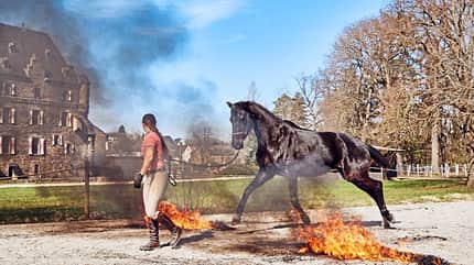 CAVALLO Mein erstes Dressurpferd Mein erstes Dressurpferd