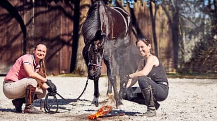 CAVALLO Mein erstes Dressurpferd Mein erstes Dressurpferd