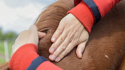 CAVALLO Stall-Check Stall-Check