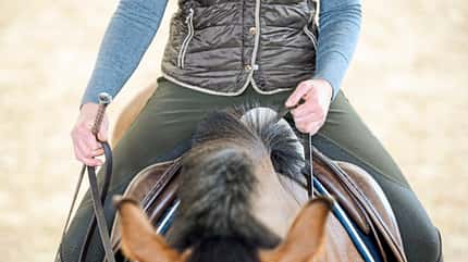 CAVALLO Seitwärtshilfen Seitwärtshilfen