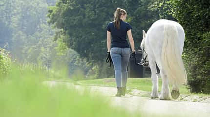 CAVALLO Zu Fuß unterwegs mit Pferd Zu Fuß unterwegs mit Pferd