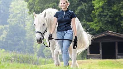 CAVALLO Zu Fuß unterwegs mit Pferd Zu Fuß unterwegs mit Pferd