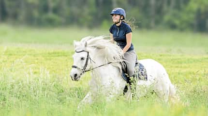 CAVALLO Zu Fuß unterwegs mit Pferd Zu Fuß unterwegs mit Pferd