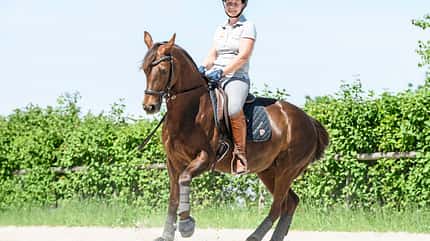 CAVALLO Klassisch reiten mit Quarter Horse Klassisch reiten mit Quarter Horse