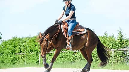 CAVALLO Klassisch reiten mit Quarter Horse Klassisch reiten mit Quarter Horse