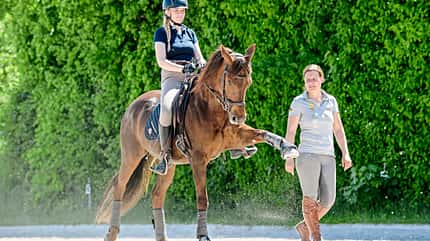 CAVALLO Klassisch reiten mit Quarter Horse Klassisch reiten mit Quarter Horse