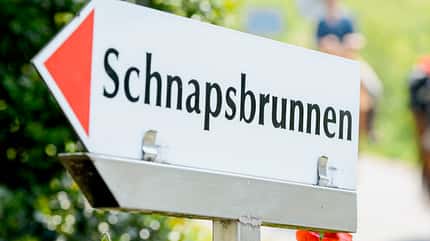 CAVALLO Wanderreiten durch den Schwarzwald Wanderreiten durch den Schwarzwald