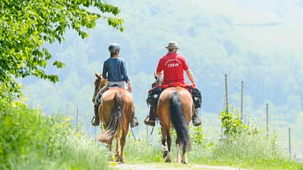 CAVALLO Wanderreiten durch den Schwarzwald Wanderreiten durch den Schwarzwald