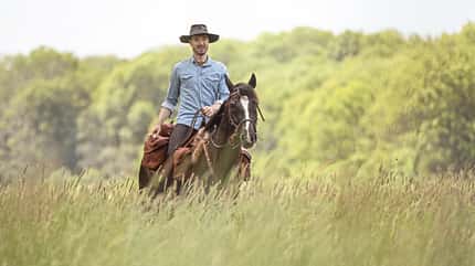 CAVALLO Portrait Daniel Suchefort Portrait Daniel Suchefort
