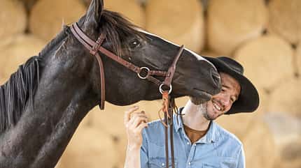 CAVALLO Portrait Daniel Suchefort Portrait Daniel Suchefort
