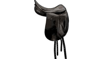 CAVALLO Check gebrauchte Sättel Check gebrauchte Sättel