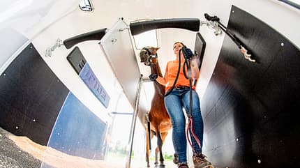 CAVALLO Mit dem Pferd auf Tour Mit dem Pferd auf Tour