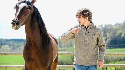 CAVALLO Freigeister Freigeister
