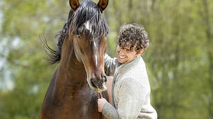 CAVALLO Freigeister Freigeister