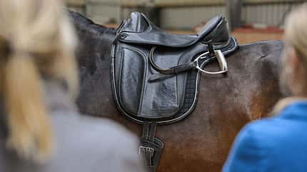CAVALLO Tragkraft-Check Tragkraft-Check