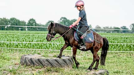 Reitschule Tannhorst Reitschule Tannhorst