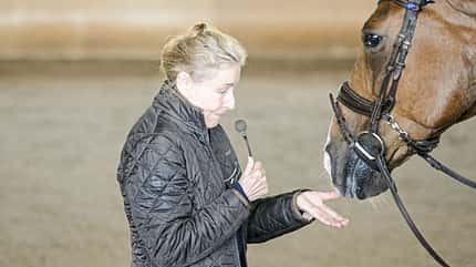 CAVALLO Dressurkurs mit Christine Stückelberger Dressurkurs mit Christine Stückelberger