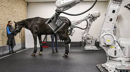 CAVALLO Roboter-CT Roboter-CT