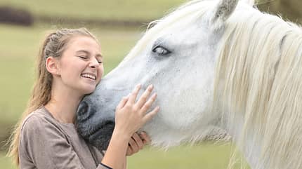 CAVALLO Wie Pferde riechen Wie Pferde riechen