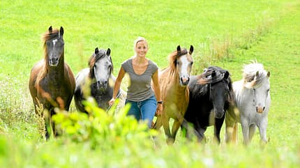 CAVALLO TSP Tierschutz TSP Tierschutz