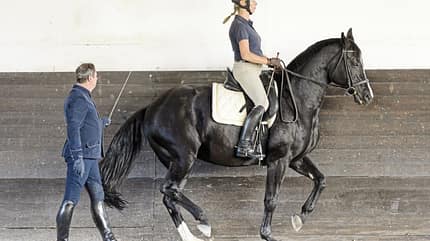 CAVALLO Hautnah bei Christoph Ackermann Hautnah bei Christoph Ackermann