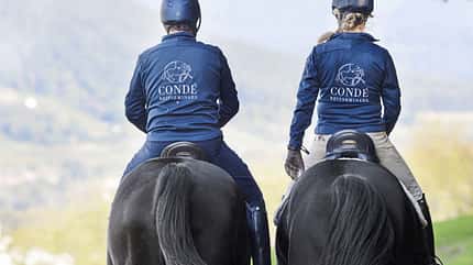 CAVALLO Hautnah bei Christoph Ackermann Hautnah bei Christoph Ackermann
