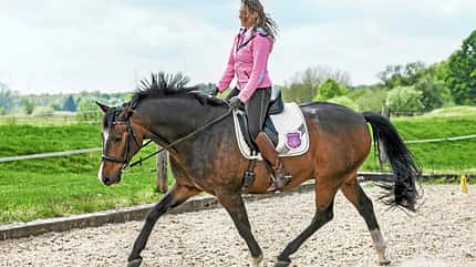 CAVALLO Ohrenspiel beim Reiten Ohrenspiel beim Reiten