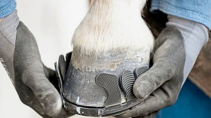 CAVALLO Klebebeschläge Klebebeschläge
