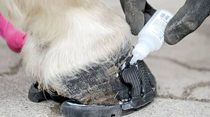 CAVALLO Klebebeschläge Klebebeschläge