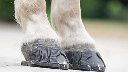 CAVALLO Klebebeschläge Klebebeschläge